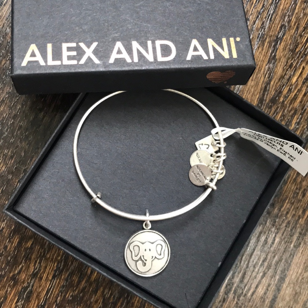 Alex and Ani Braclett